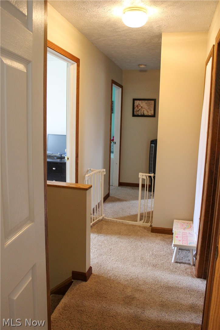 4036 Dayton Road Madison, OH 44057 - Photo 14 of 34 Gallery Image 14