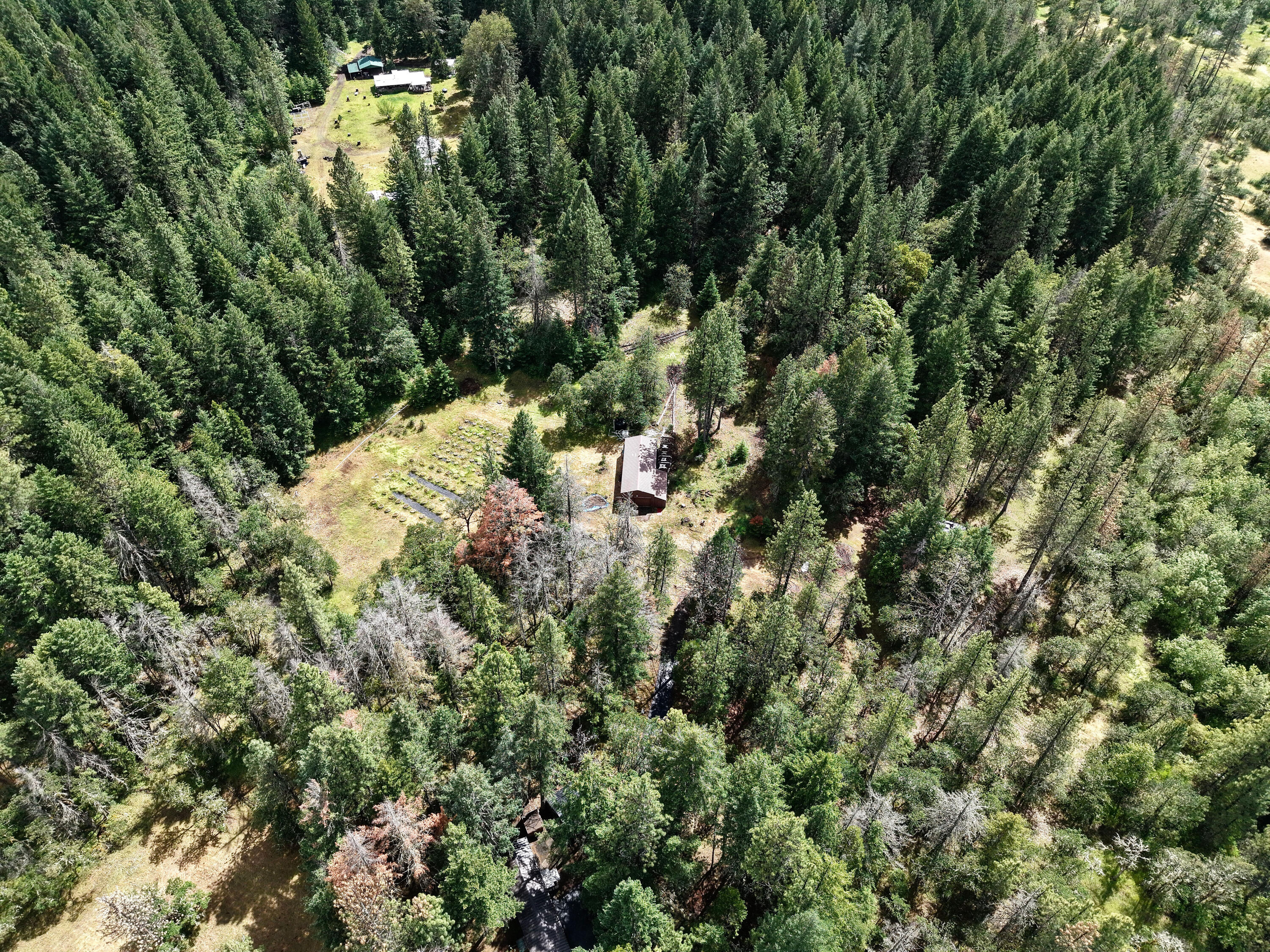 42256 Highway 62 Prospect, OR 97536 - Photo 45 of 48 a view of a house with a tree