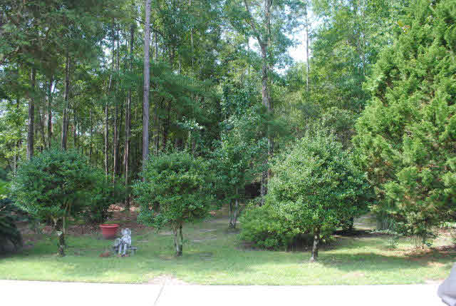 32853 Juniper Road Seminole, AL 36574 - Photo 2 of 22