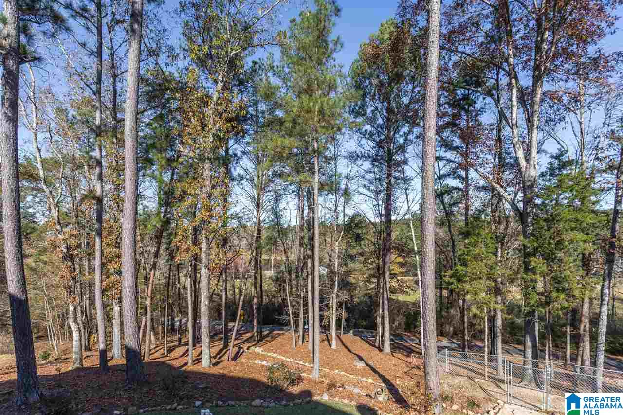 1069 Sedgefield Circle Morris, AL 35116 - Photo 45 of 45