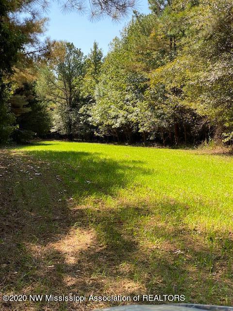 169 Barnacre Road Batesville, MS 38606 - Photo 1 of 31 image17