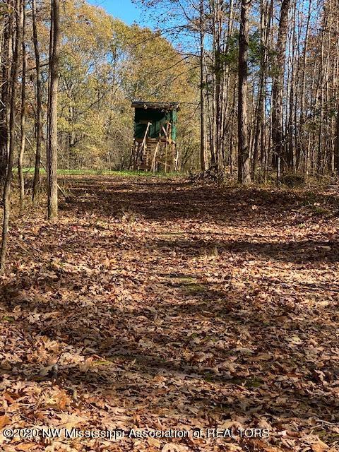 169 Barnacre Road Batesville, MS 38606 - Photo 11 of 31 image26