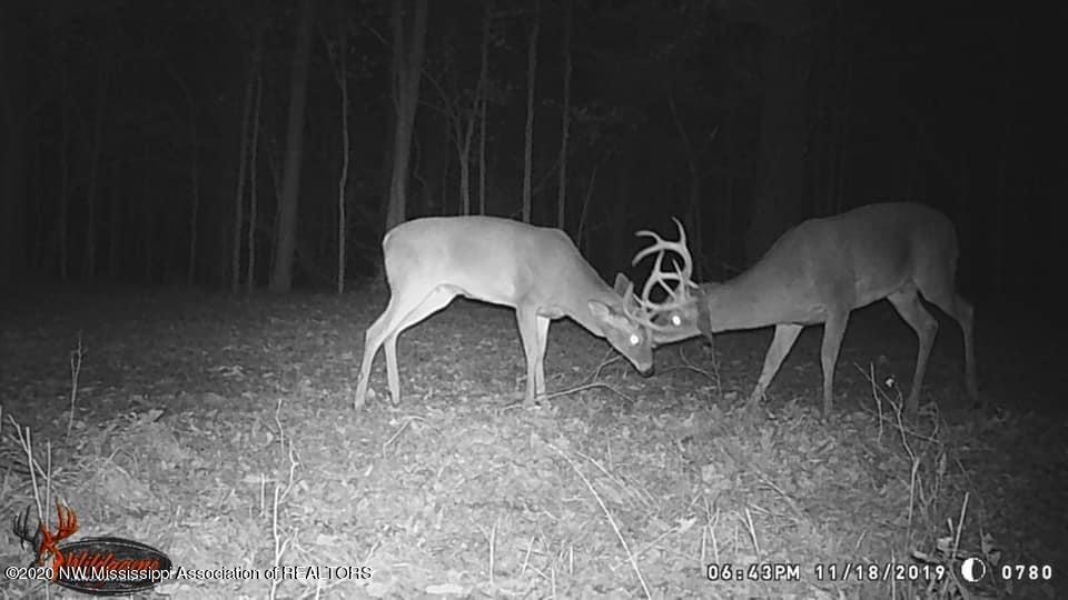 169 Barnacre Road Batesville, MS 38606 - Photo 14 of 31 image1