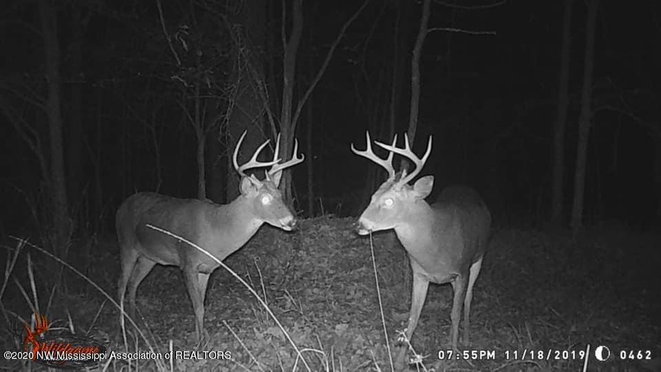 169 Barnacre Road Batesville, MS 38606 - Photo 17 of 31 image4