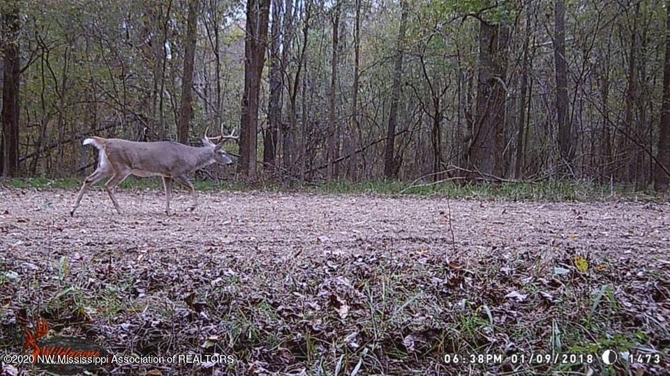169 Barnacre Road Batesville, MS 38606 - Photo 18 of 31 image5