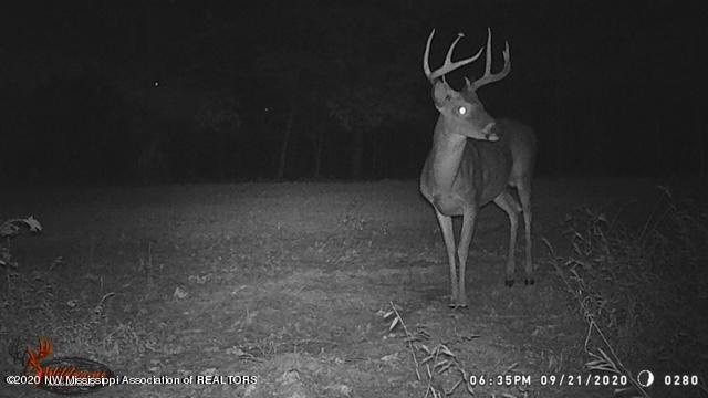 169 Barnacre Road Batesville, MS 38606 - Photo 26 of 31 image16