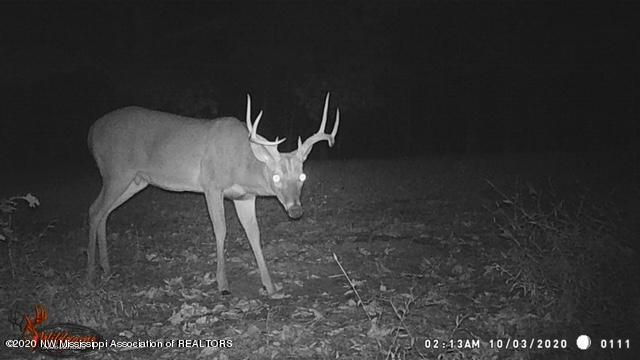 169 Barnacre Road Batesville, MS 38606 - Photo 29 of 31 image29