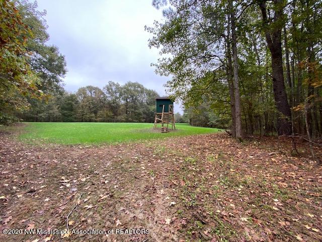 169 Barnacre Road Batesville, MS 38606 - Photo 5 of 31 image19