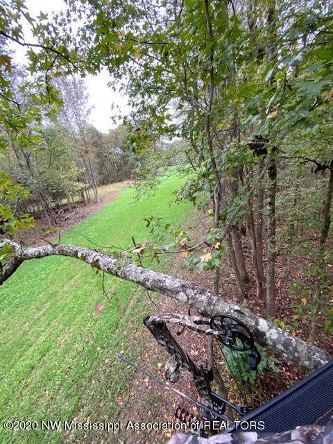 169 Barnacre Road Batesville, MS 38606 - Photo 6 of 31 image20
