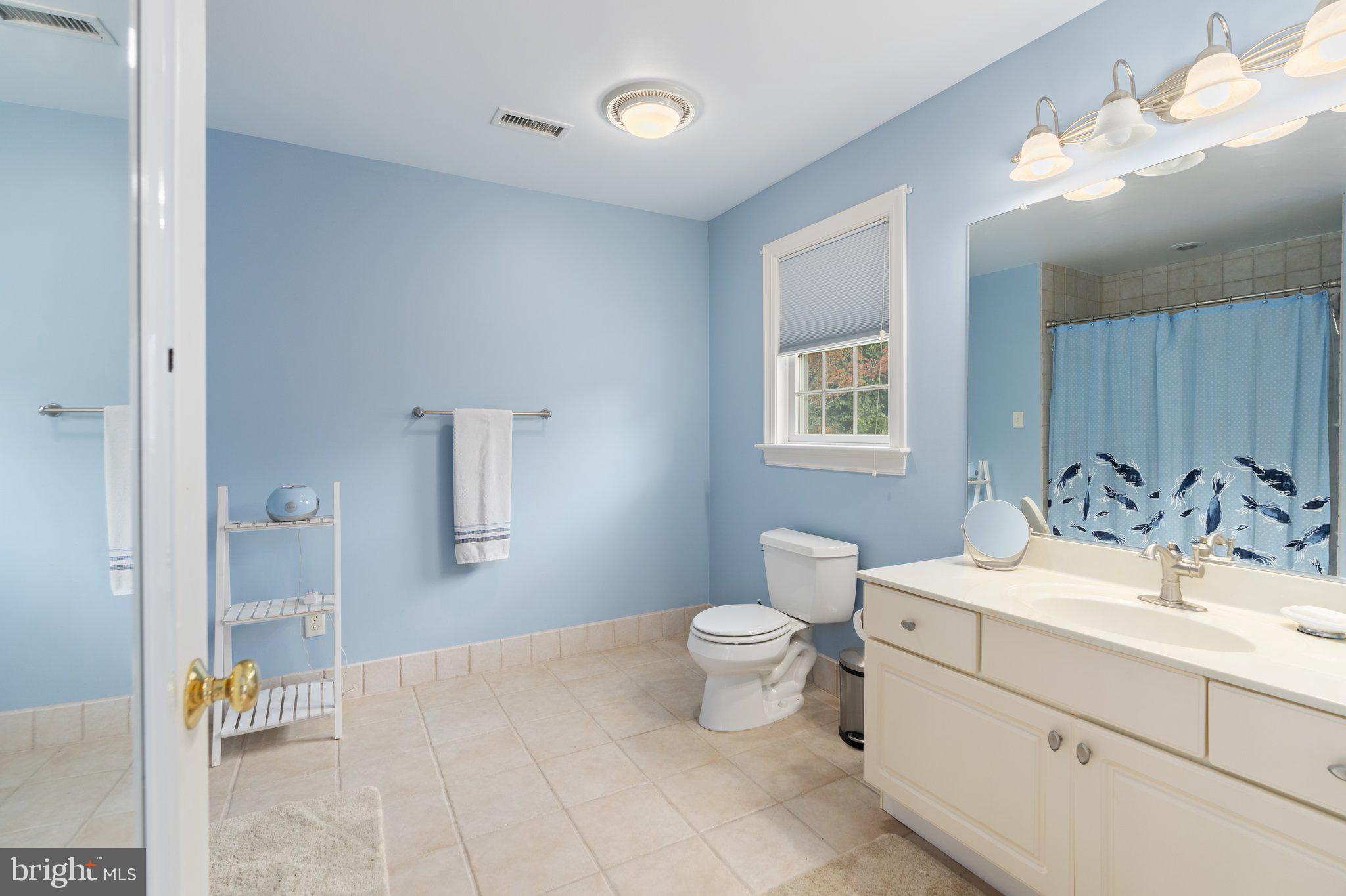 887 Macclesfield Road Furlong, PA 18925 - Photo 54 of 75 a bathroom with a sink toilet and a mirror