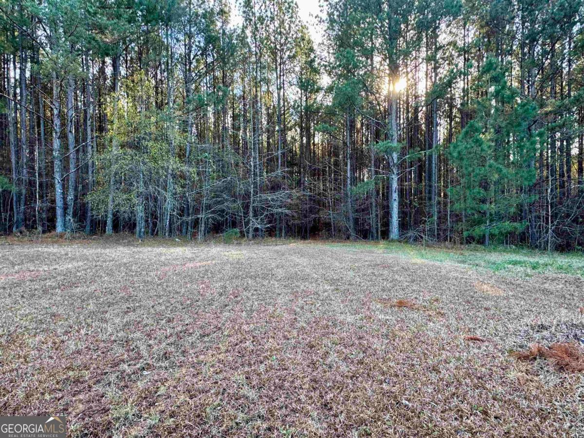 5401 Union Point Highway Union Point, GA 30669 - Photo 36 of 42