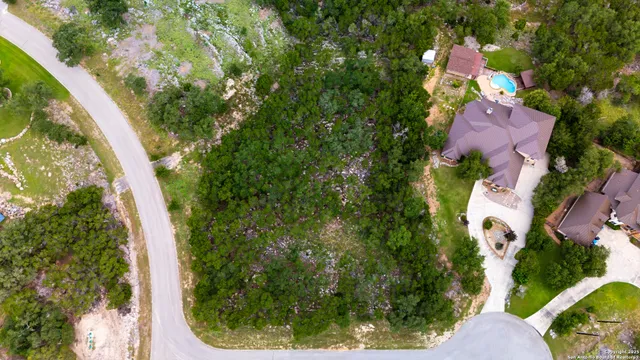 a view of a tree with flowers