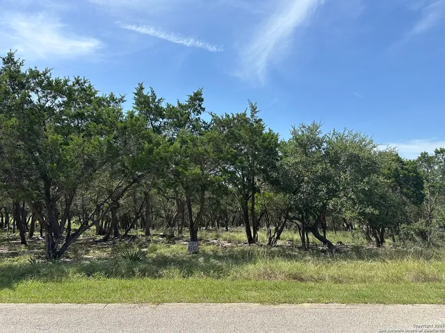 a view of outdoor space and trees