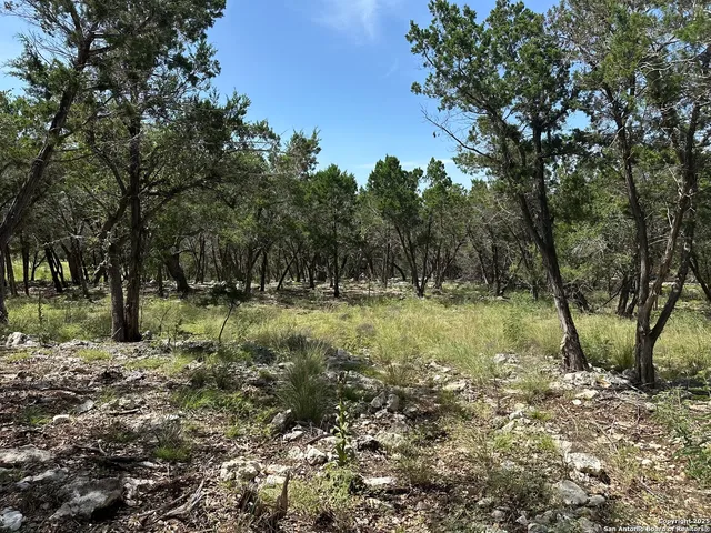 a view of outdoor space with lots of trees