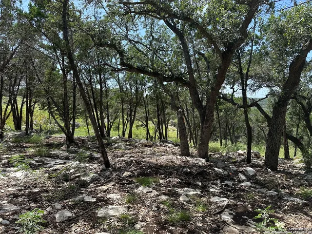 an aerial view of mountain with trees around