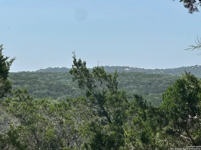 a view of a forest filled with trees