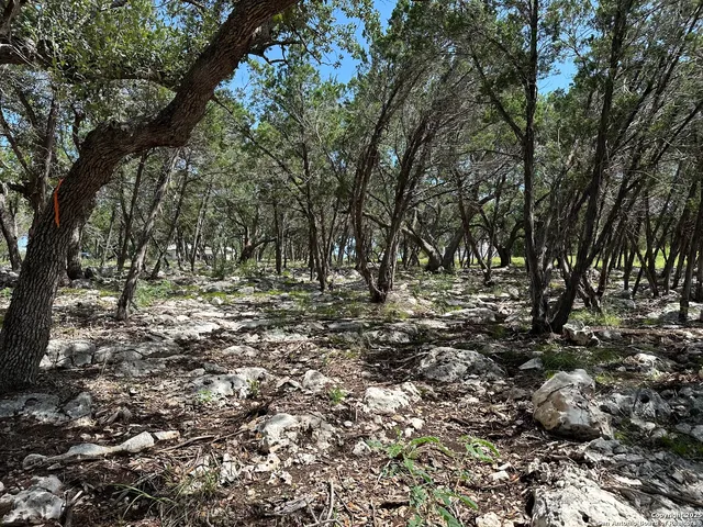 a view of outdoor space with trees all around