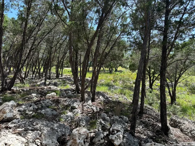 a fire hydrant in the middle of a field