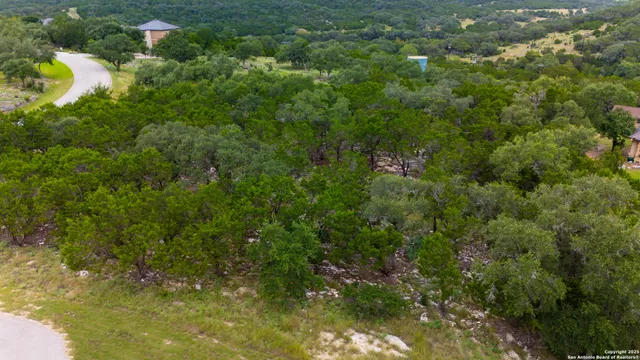 a view of a garden with plants