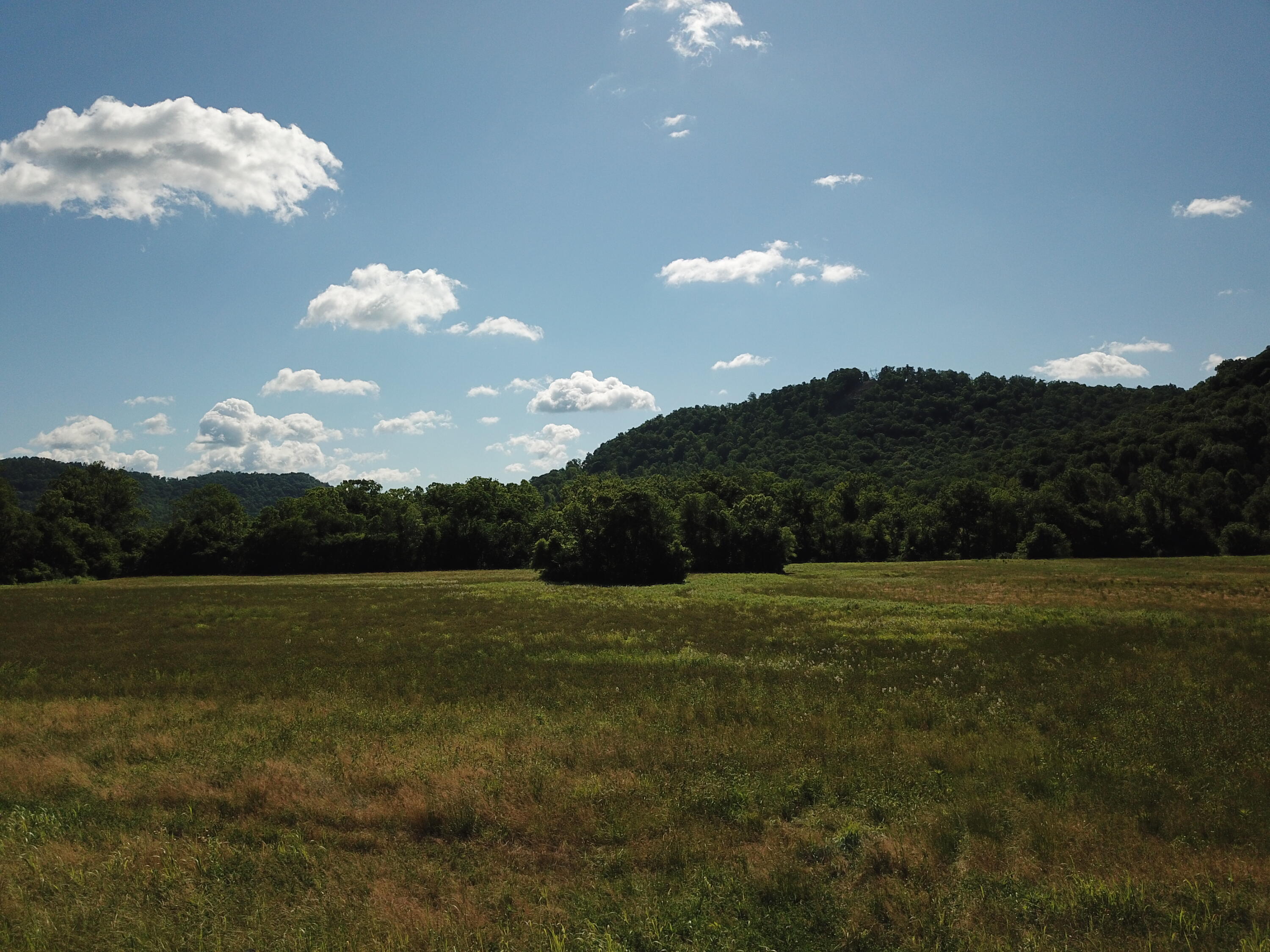 4105 Red Lick Road Irvine, KY 40336 - Photo 8 of 23 DJI_0044