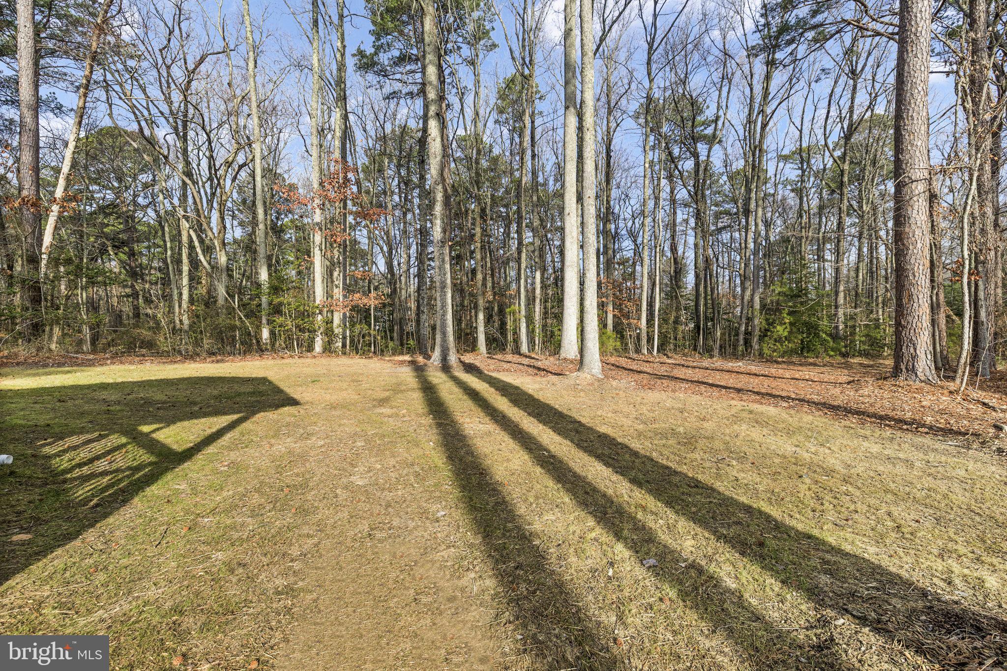 27 Colony Way Montross, VA 22520 - Photo 40 of 90
