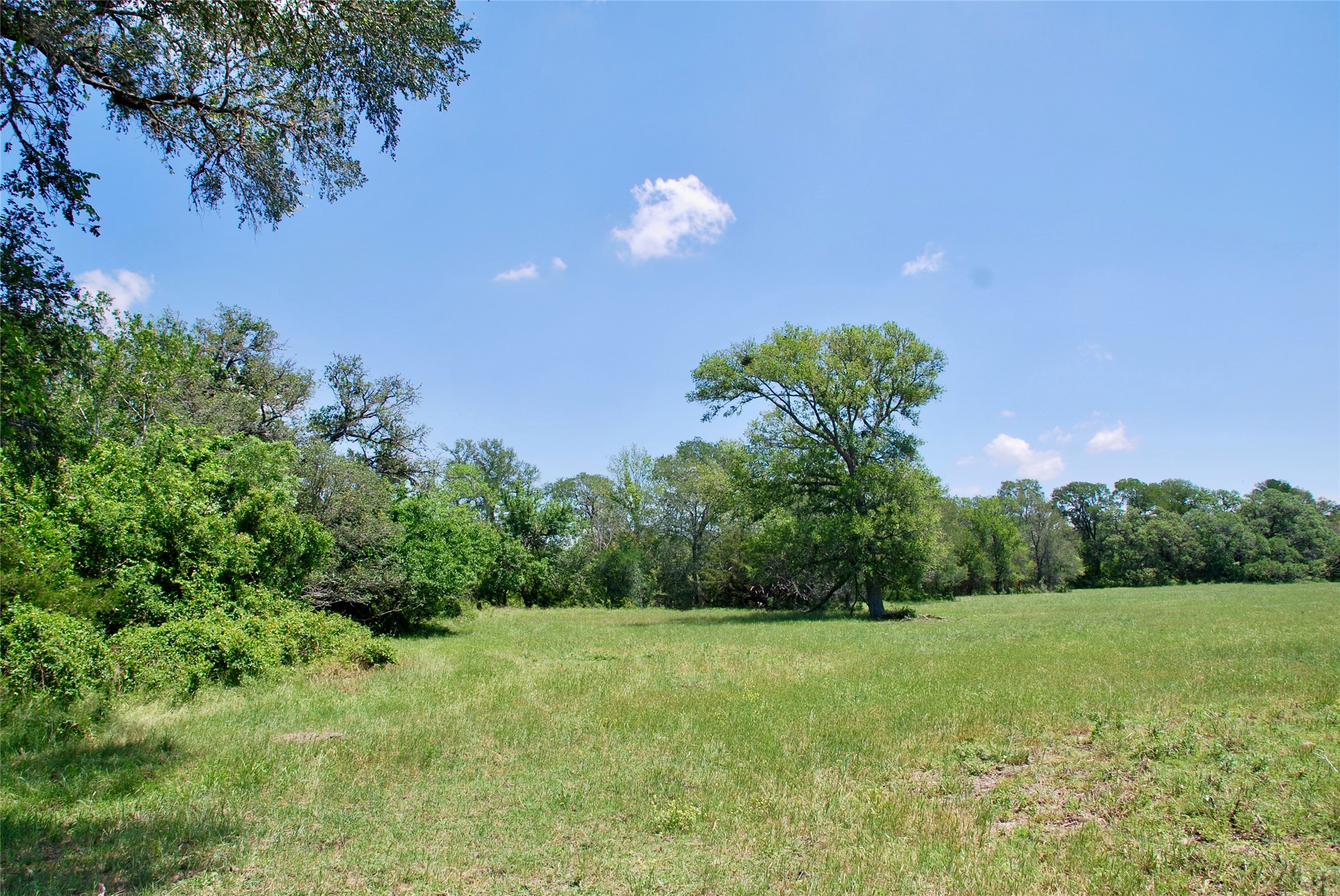 3703 Muehr Road Weimar, TX 78962 - Photo 10 of 29