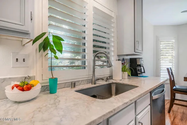 a kitchen with a sink and a potted plant