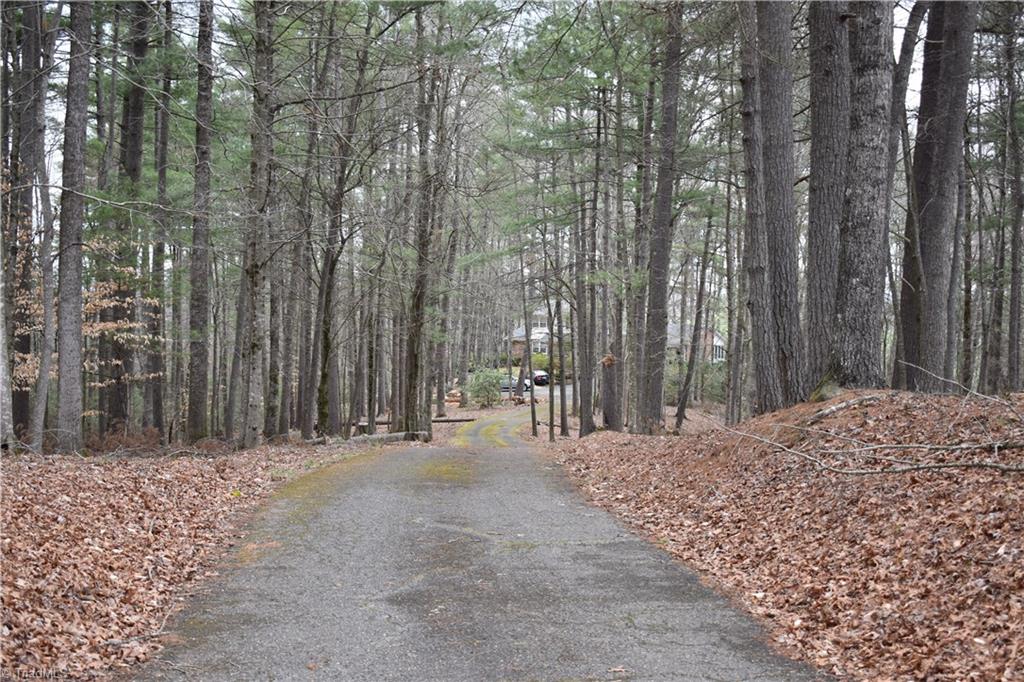 777 Turkey Ford Road Dobson, NC 27017 - Photo 3 of 29 Gallery Image 3