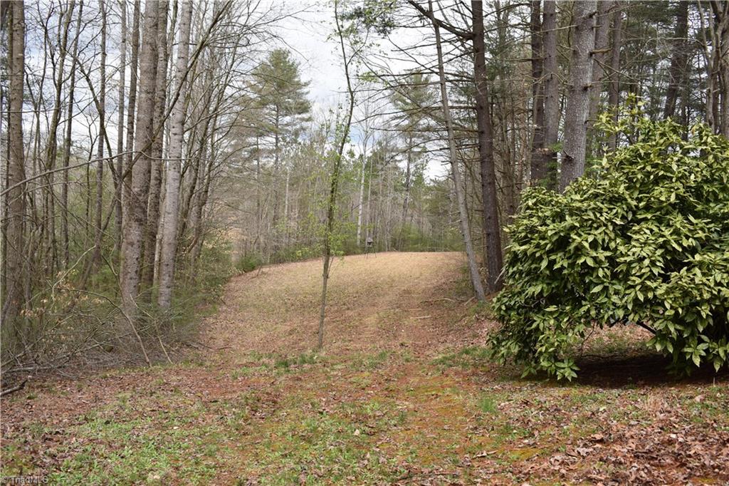 777 Turkey Ford Road Dobson, NC 27017 - Photo 5 of 29 Gallery Image 5