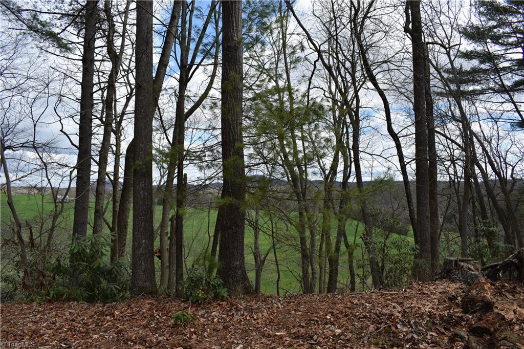 777 Turkey Ford Road Dobson, NC 27017 - Photo 7 of 29 Gallery Image 7