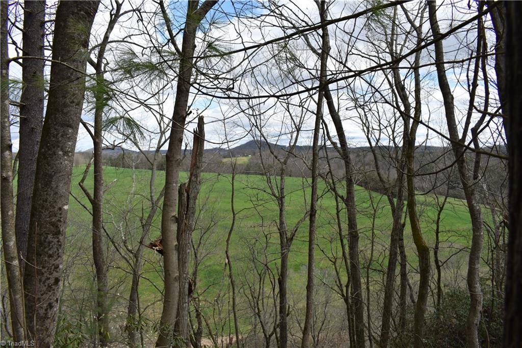 777 Turkey Ford Road Dobson, NC 27017 - Photo 8 of 29 Gallery Image 8
