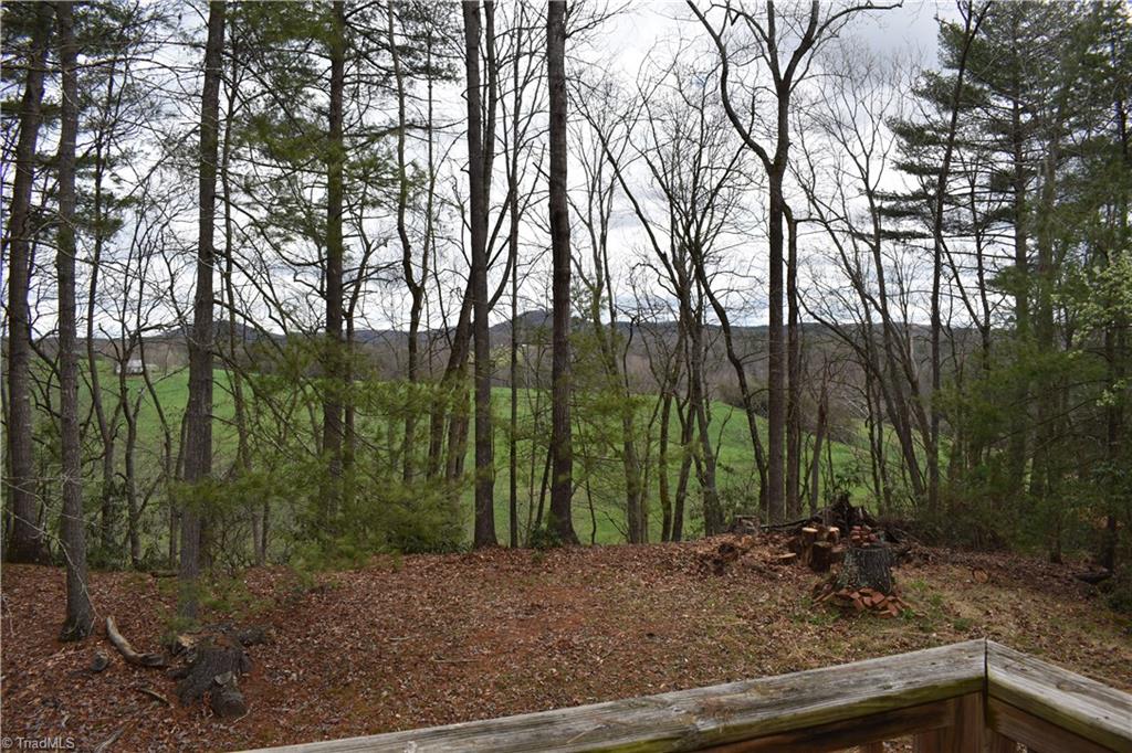 777 Turkey Ford Road Dobson, NC 27017 - Photo 9 of 29 Gallery Image 9