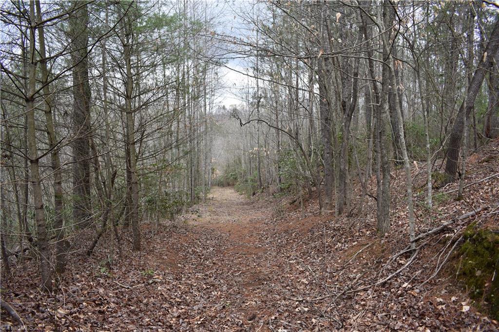 777 Turkey Ford Road Dobson, NC 27017 - Photo 10 of 29 Gallery Image 10