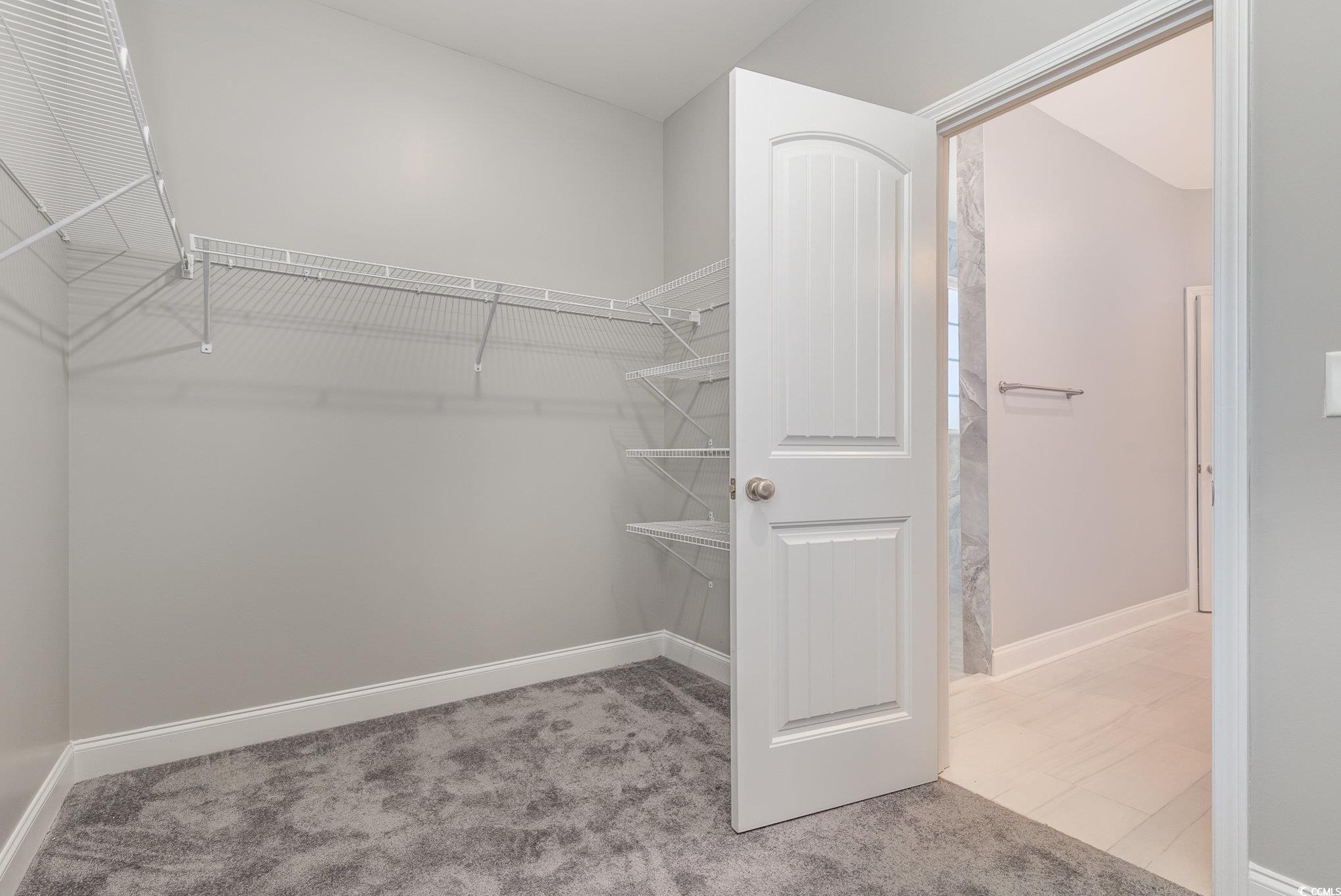 2104 Highway 9 Business Loris, SC 29569 - Photo 12 of 20 Spacious closet with light carpet