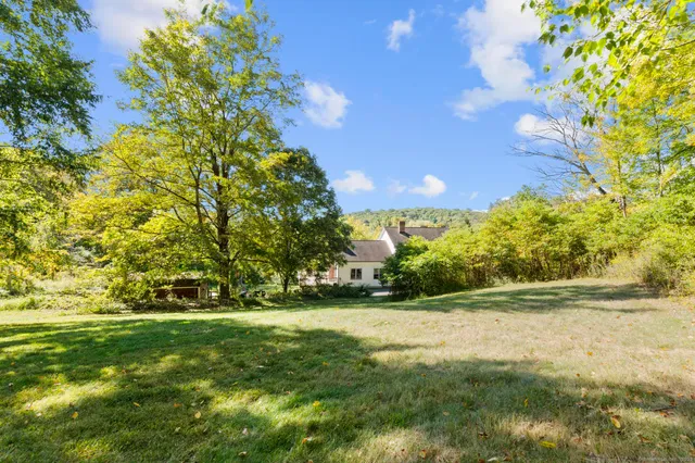 a view of yard with green space
