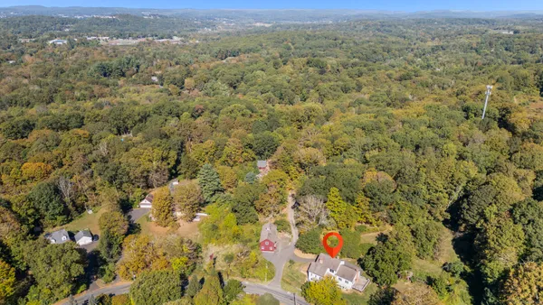 a view of a city with lush green forest