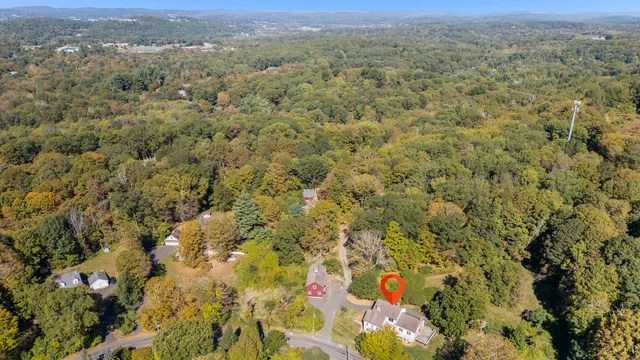 a view of a city with lush green forest