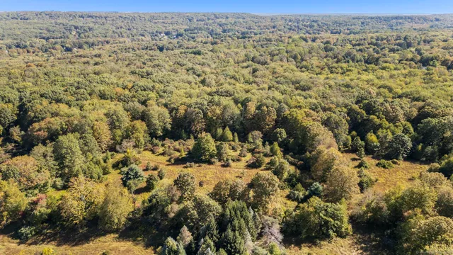 a view of a field with a mountain view