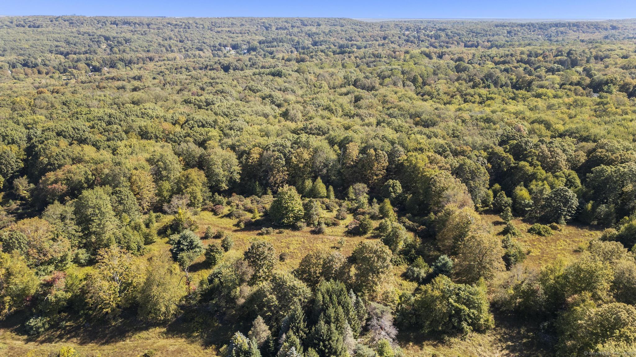 62 Codfish Hill Road Bethel, CT 06801 - Photo 22 of 25