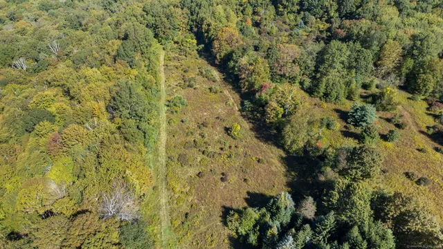 an aerial view of a houses with a lush green hillside