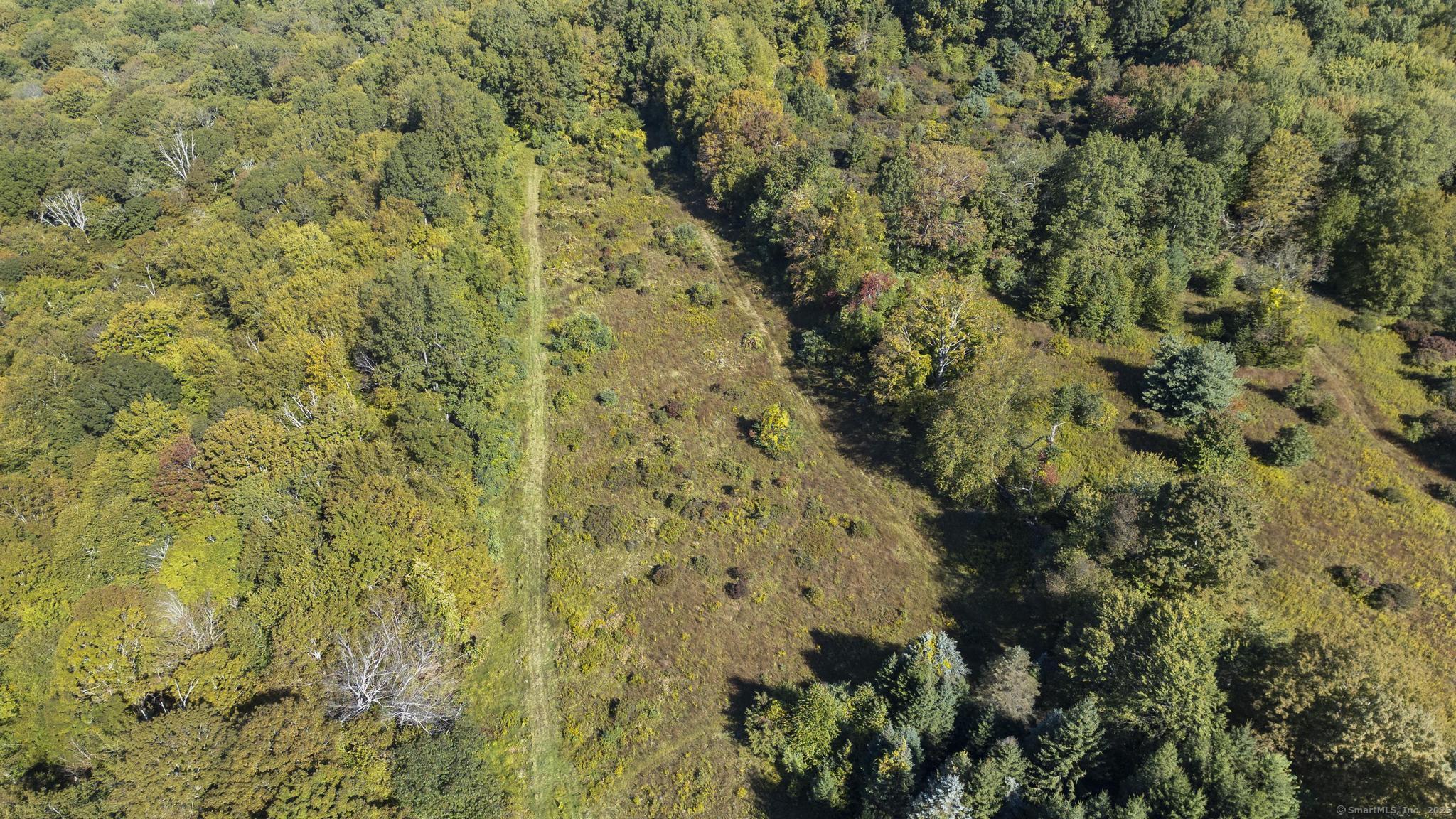 62 Codfish Hill Road Bethel, CT 06801 - Photo 24 of 25 a view of a bunch of trees