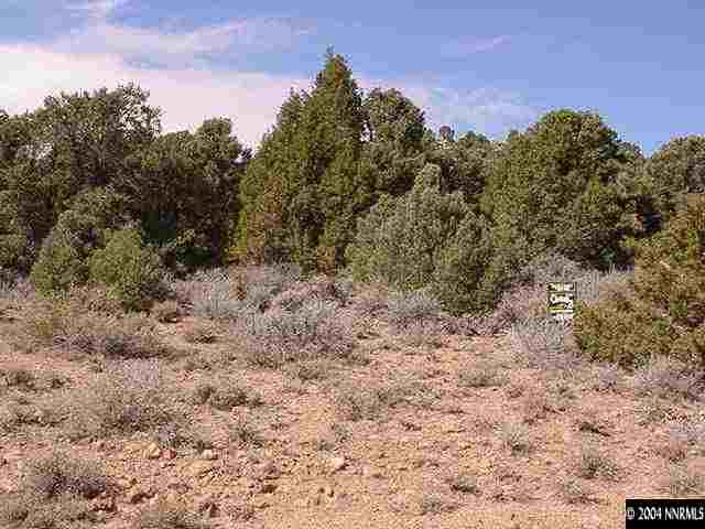 Lot # 5 Calaveras Road Reno, NV 89521 - Photo 1 of 1 a view of a yard with a tree