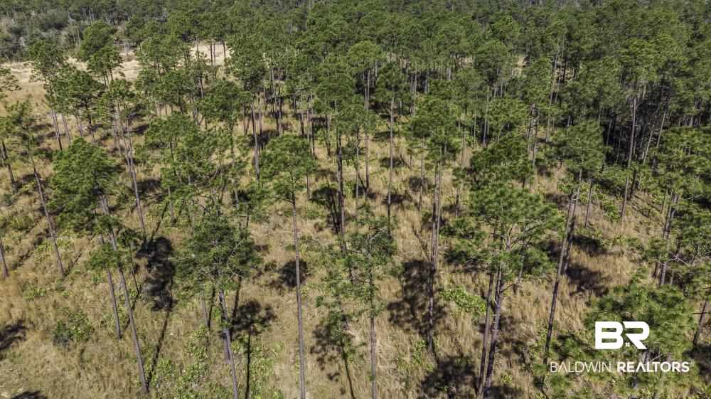 0 Three 3 Rivers Road Seminole, AL 36574 - Photo 11 of 27