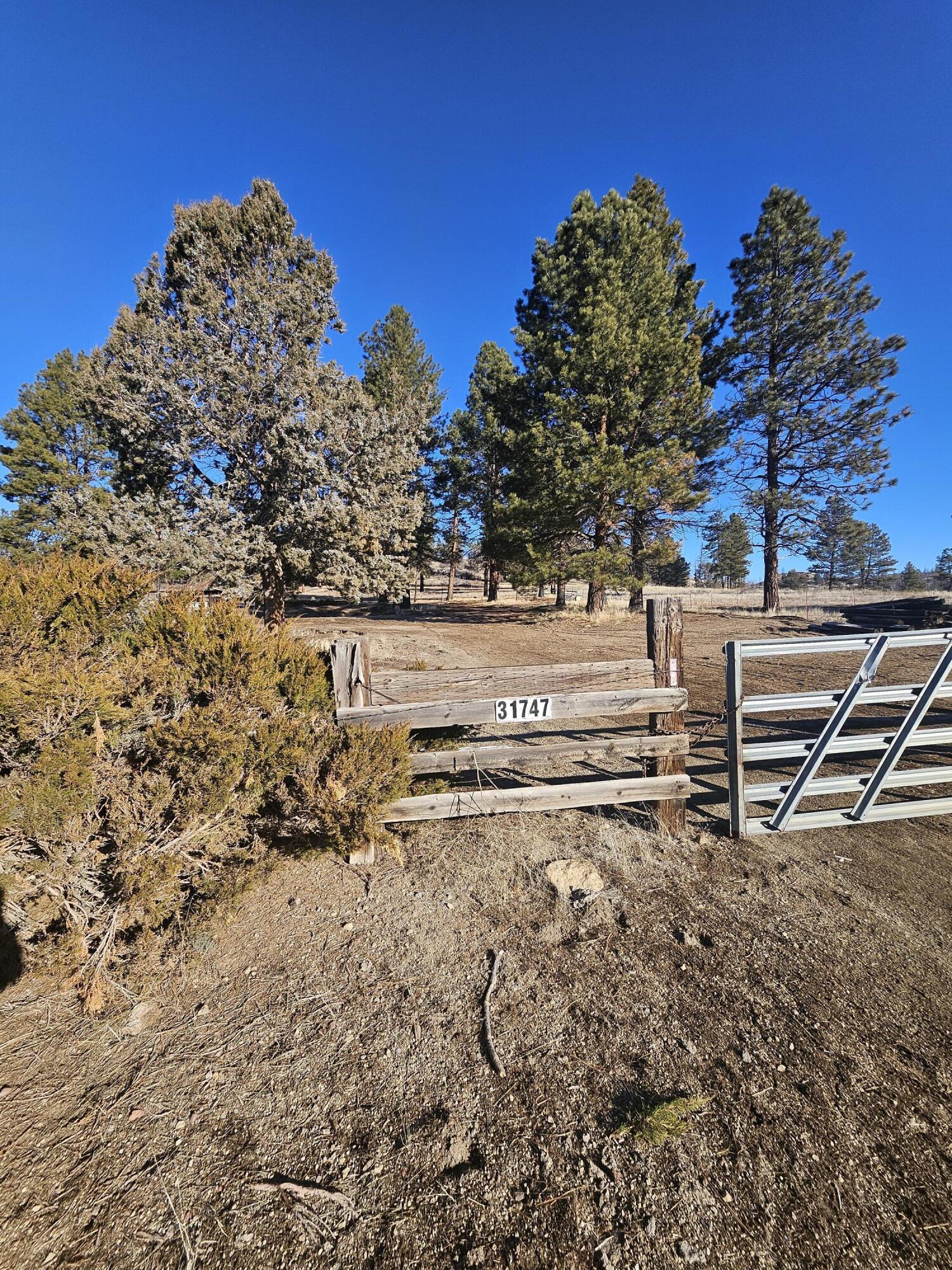 31747 Godowa Springs Road Beatty, OR 97621 - Photo 10 of 23 20260117_095102 (1)