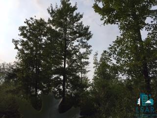 Xxx4 Endless Waters Road Ely, MN 55731 - Photo 11 of 24 Gallery Image 11
