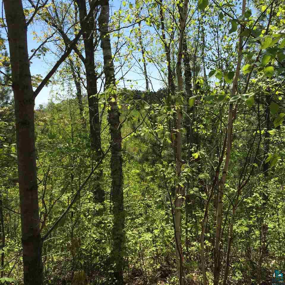Xxx4 Endless Waters Road Ely, MN 55731 - Photo 13 of 24 Gallery Image 13