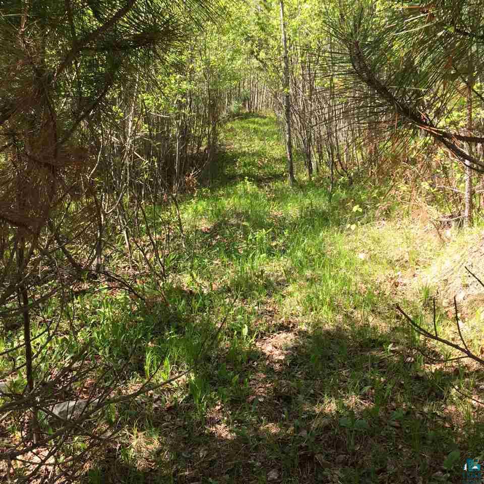 Xxx4 Endless Waters Road Ely, MN 55731 - Photo 14 of 24 Gallery Image 14