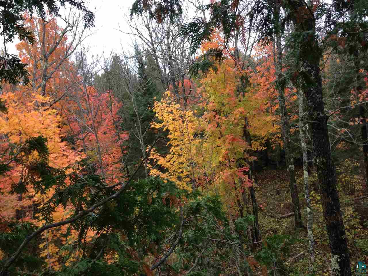 Xxx4 Endless Waters Road Ely, MN 55731 - Photo 17 of 24 Gallery Image 17