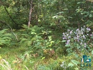 Xxx4 Endless Waters Road Ely, MN 55731 - Photo 10 of 24 Gallery Image 10
