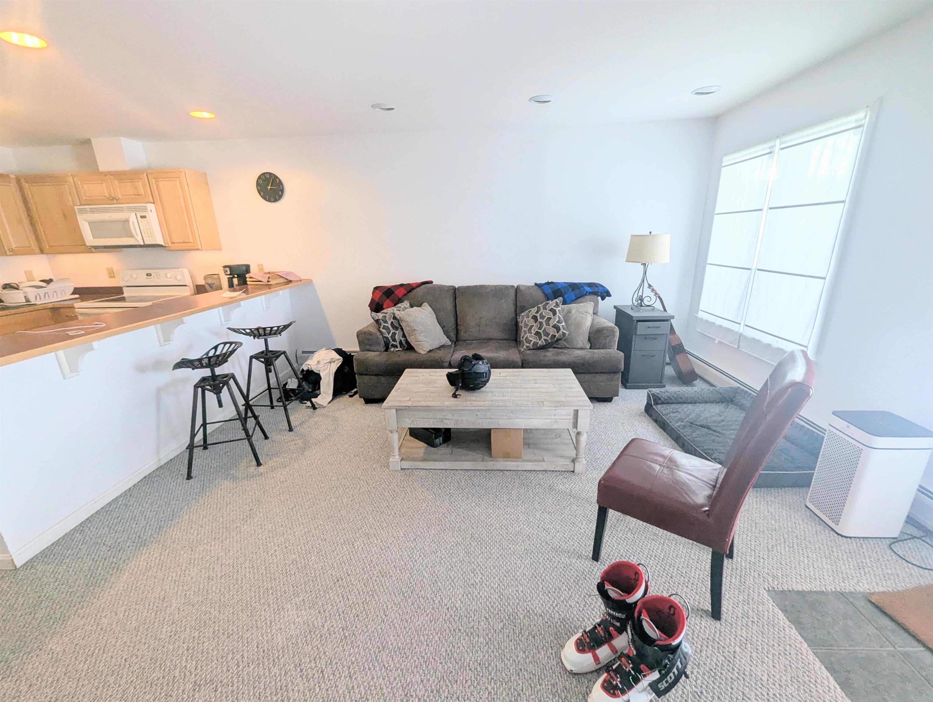 210 Powderhorn Road, Unit 1102 Burke, VT 05832 - Photo 13 of 32